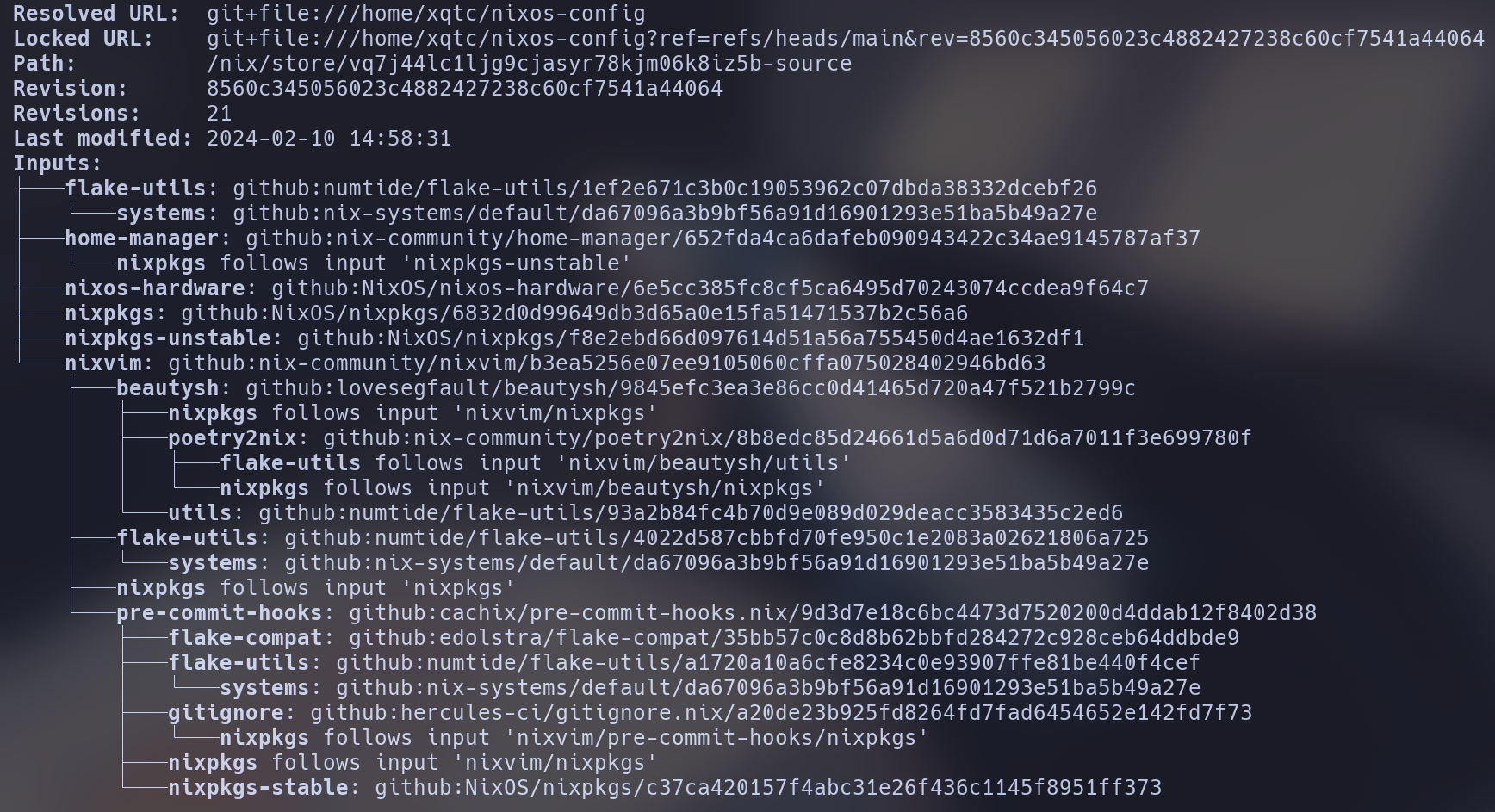 Output of nix flake show